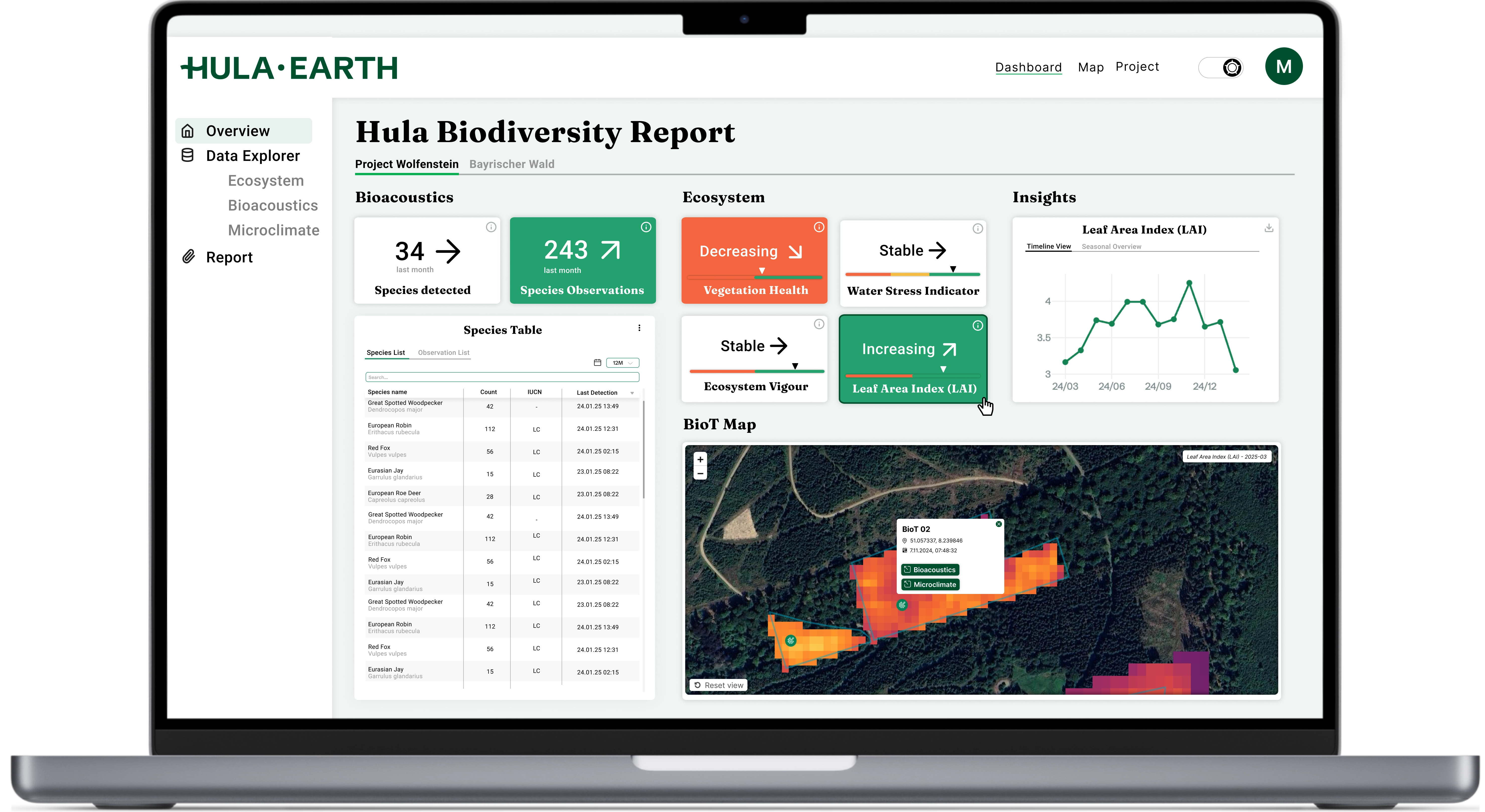 Realtime Report Download