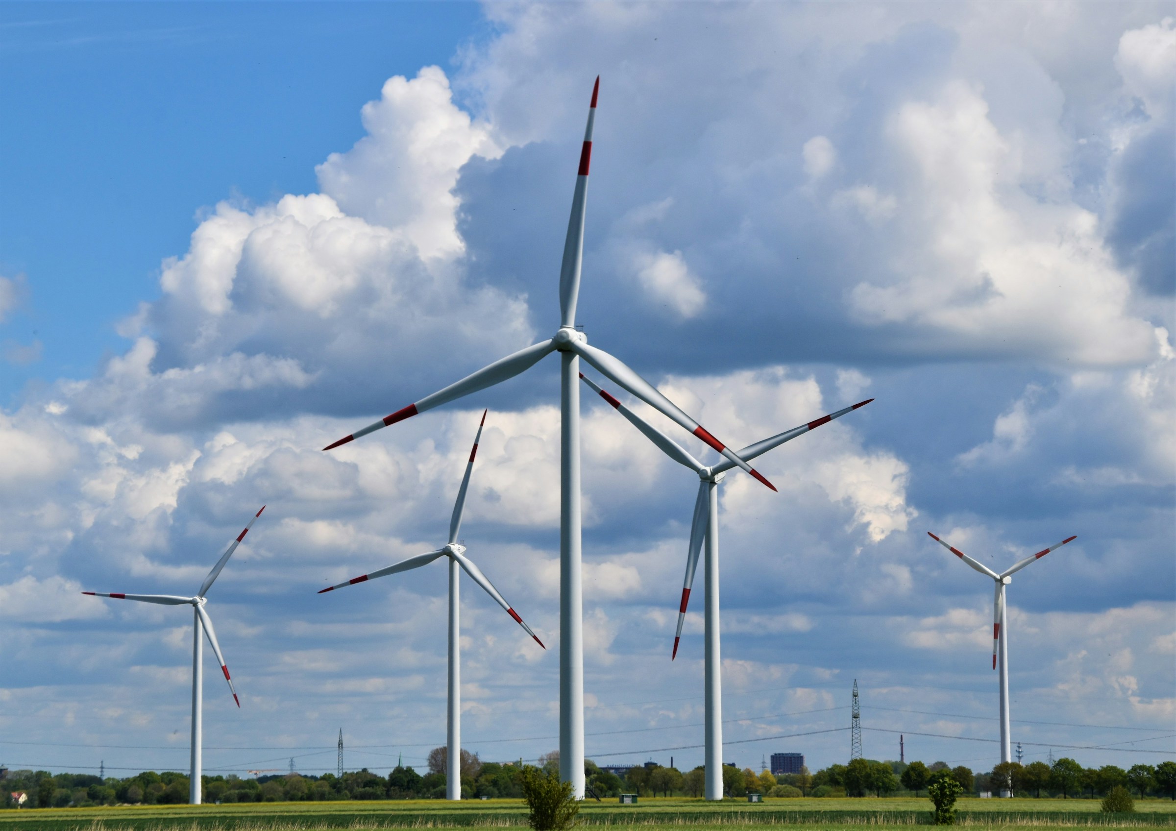 Balancing wind power and wildlife protection